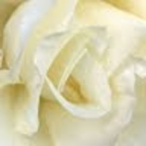 Meet your Posher, Alva